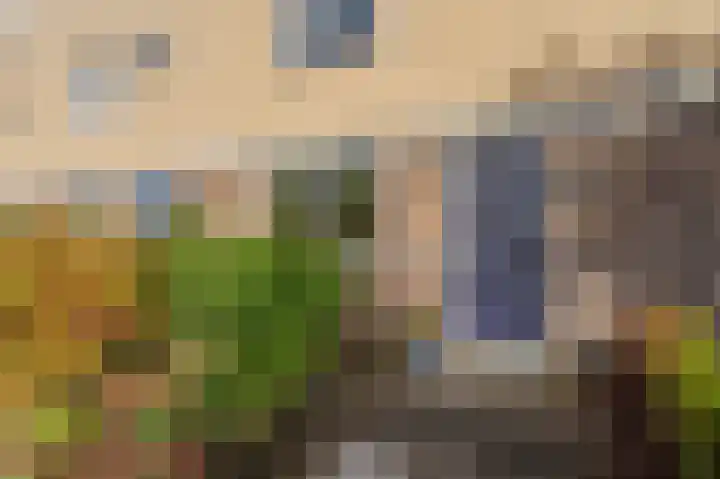 Libelkleuven 7 Assen thumbnail 10