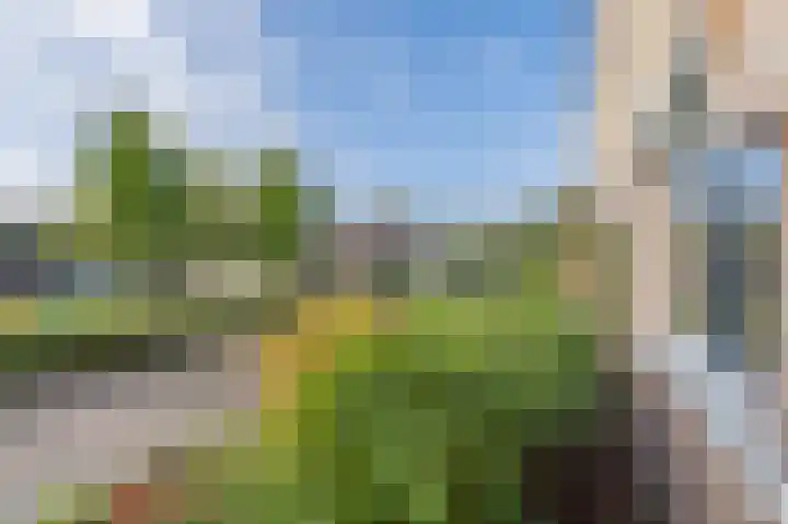 Libelkleuven 7 Assen thumbnail 11