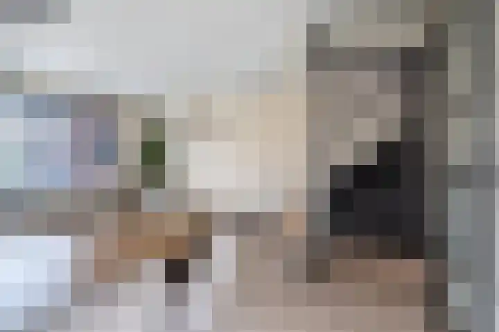 Libelkleuven 7 Assen thumbnail 14
