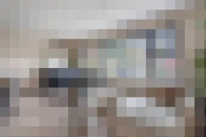 Libelkleuven 7 Assen thumbnail 16