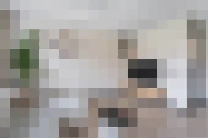 Libelkleuven 7 Assen thumbnail 17