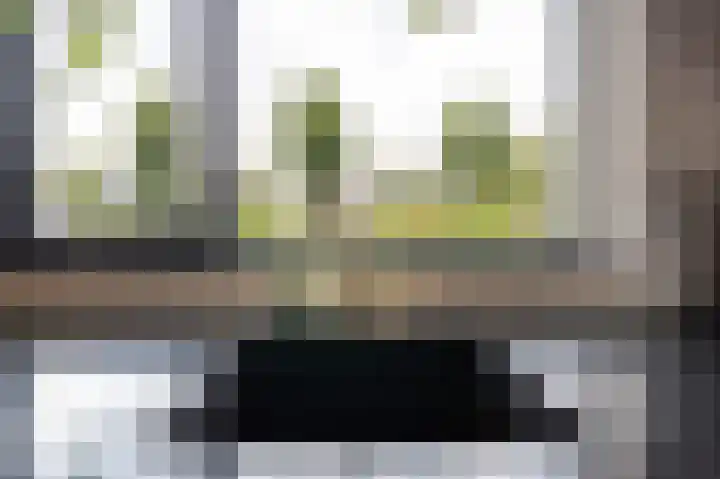 Libelkleuven 7 Assen thumbnail 21