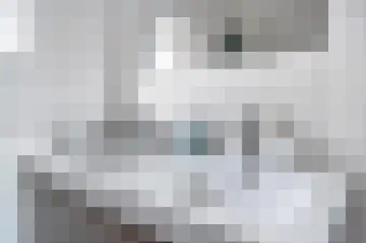 Libelkleuven 7 Assen thumbnail 25