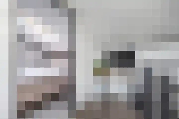 Libelkleuven 7 Assen thumbnail 32