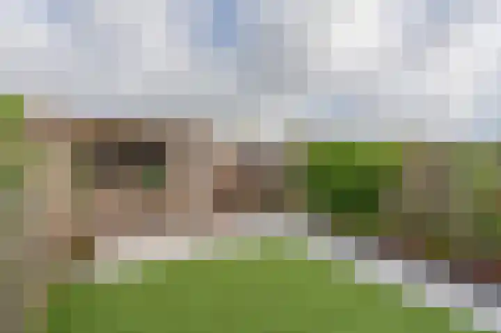 Libelkleuven 7 Assen thumbnail 38