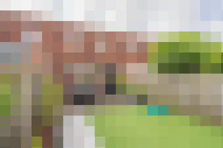 Libelkleuven 7 Assen thumbnail 40