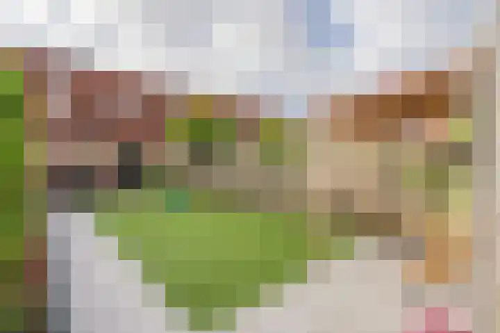 Libelkleuven 7 Assen thumbnail 42