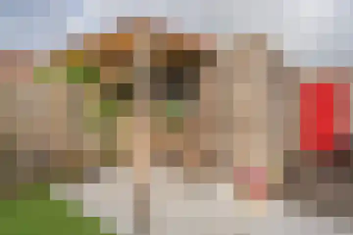 Libelkleuven 7 Assen thumbnail 43