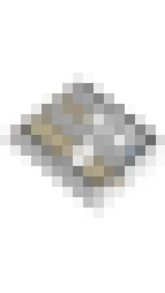 Libelkleuven 7 Assen thumbnail 54