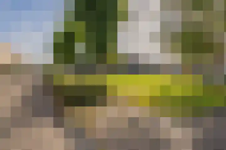 Libelkleuven 7 Assen thumbnail 9