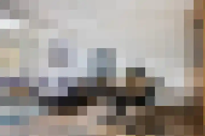 Libelkleuven 79 Assen thumbnail 10