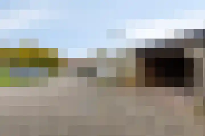Libelkleuven 79 Assen thumbnail 19