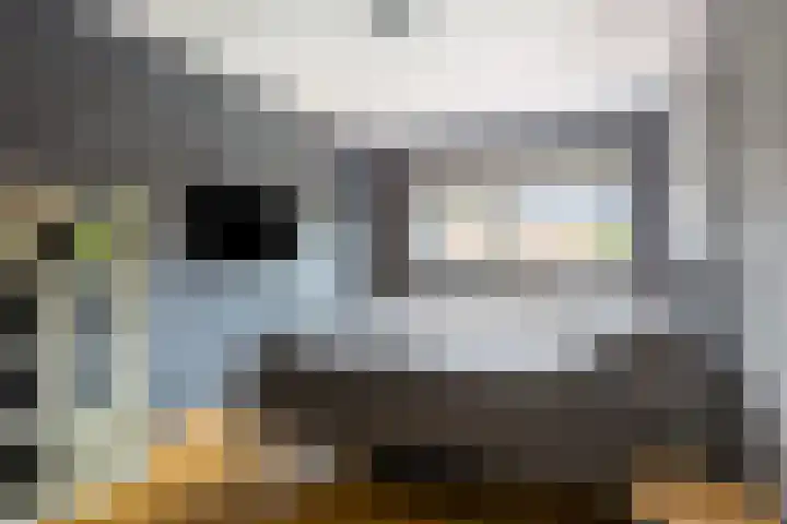 Libelkleuven 79 Assen thumbnail 21