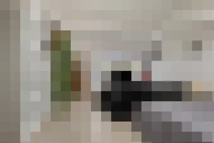 Libelkleuven 79 Assen thumbnail 29