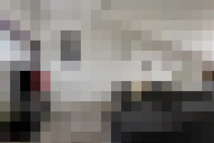 Libelkleuven 79 Assen thumbnail 30