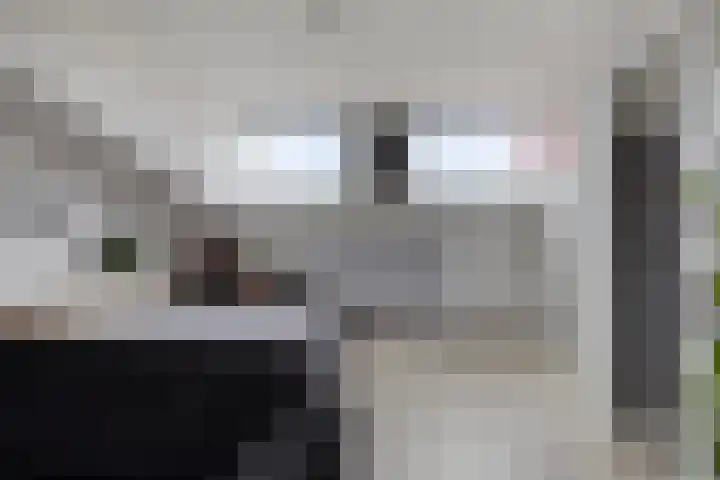 Libelkleuven 79 Assen thumbnail 31