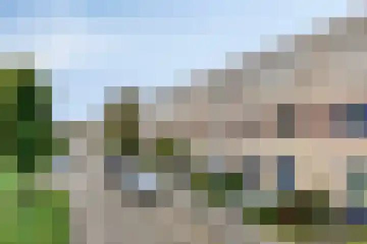 Libelkleuven 79 Assen thumbnail 33