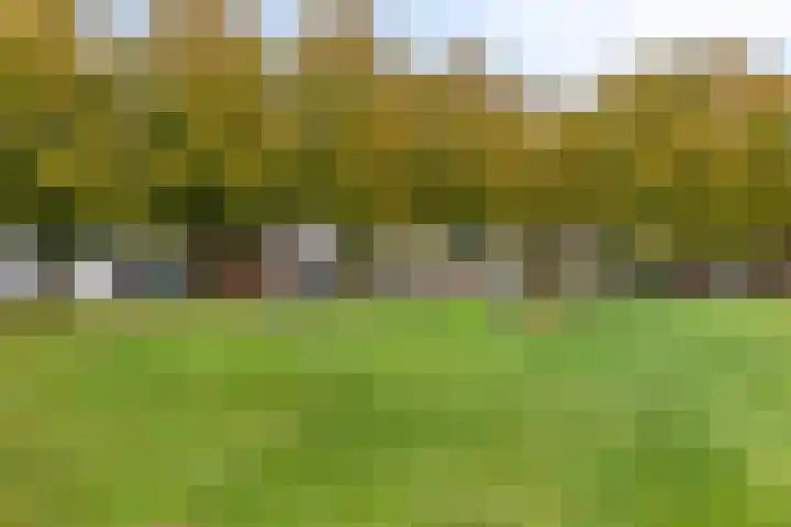 Libelkleuven 79 Assen thumbnail 34