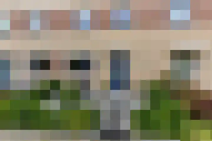 Libelkleuven 79 Assen thumbnail 4