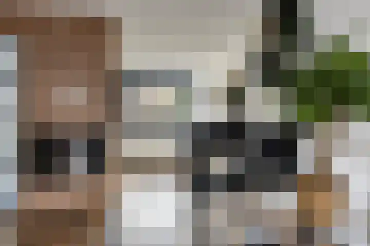 Libelkleuven 79 Assen thumbnail 6