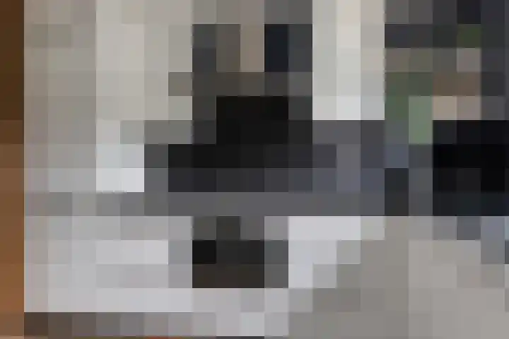 Libelkleuven 79 Assen thumbnail 8
