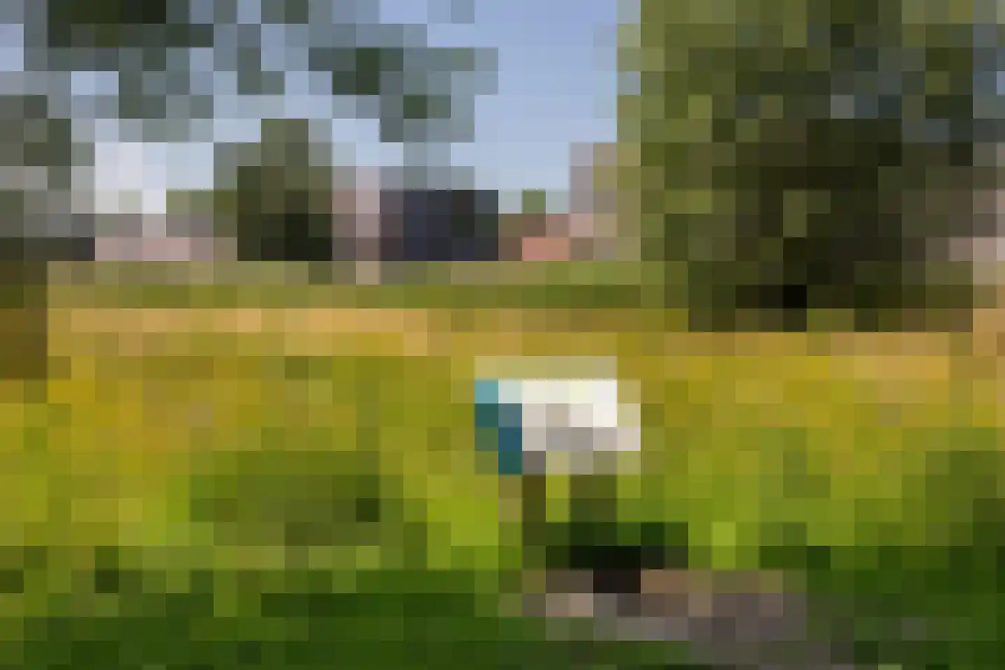 Libelle 15 Amersfoort thumbnail 31