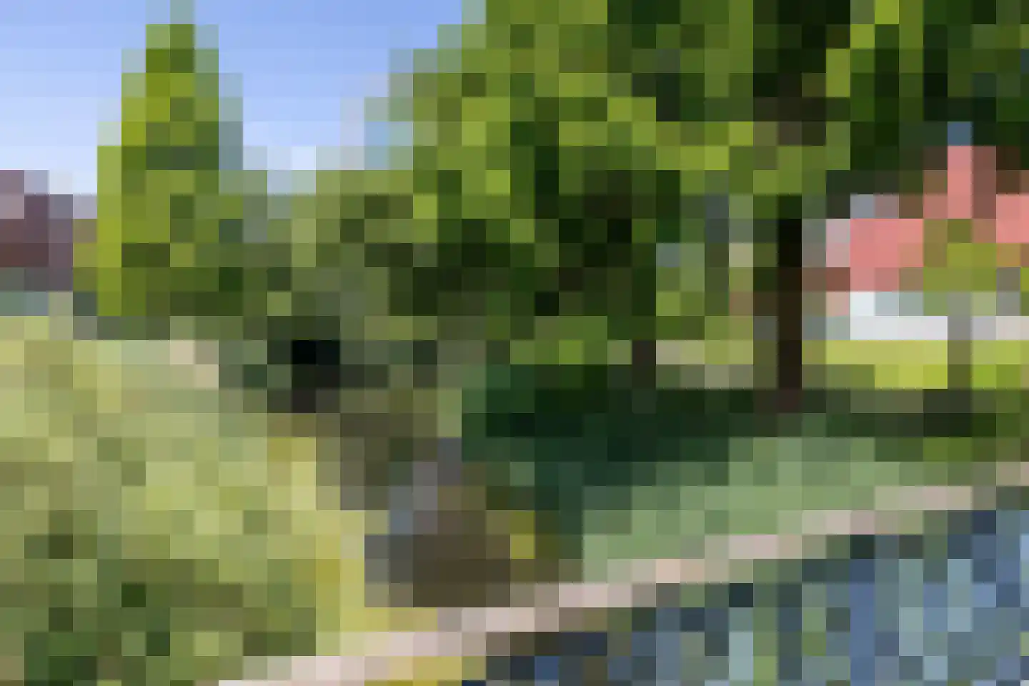 Libelle 15 Amersfoort thumbnail 33