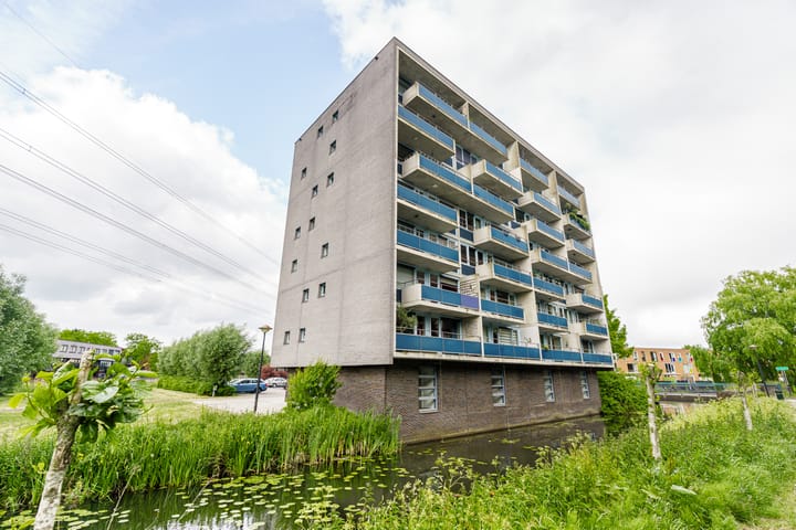 Libelle 5 in Amersfoort Foto