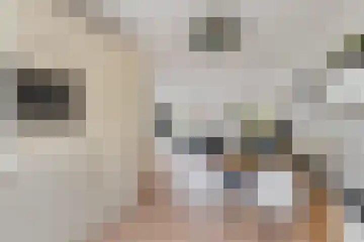 Libellemeent 92 Hilversum thumbnail 12