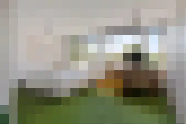 Libellemeent 92 Hilversum thumbnail 14