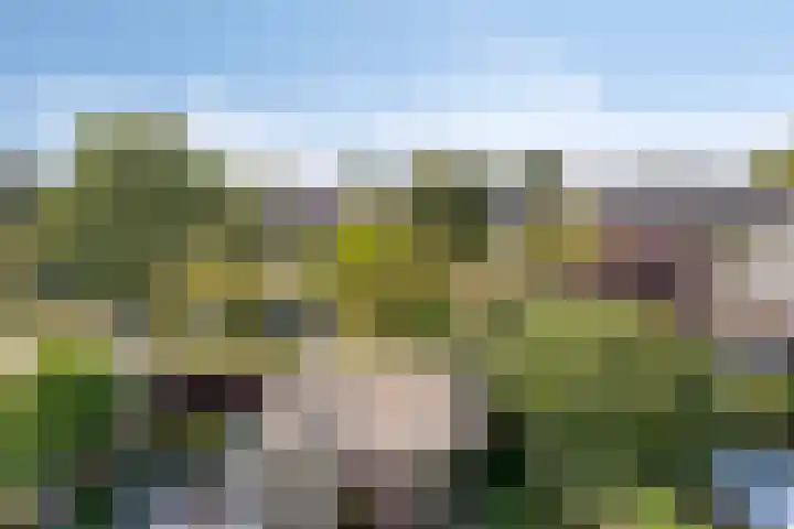 Libellemeent 92 Hilversum thumbnail 24