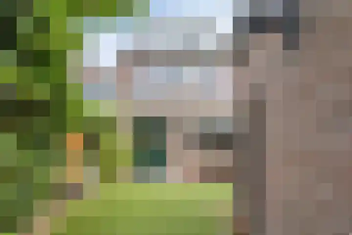 Libellemeent 92 Hilversum thumbnail 26