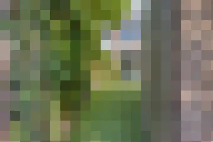 Libellemeent 92 Hilversum thumbnail 28
