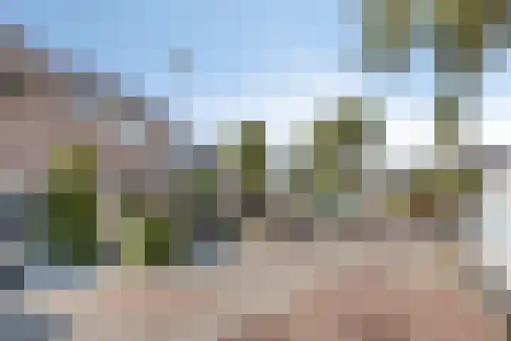 Libellemeent 92 Hilversum thumbnail 34