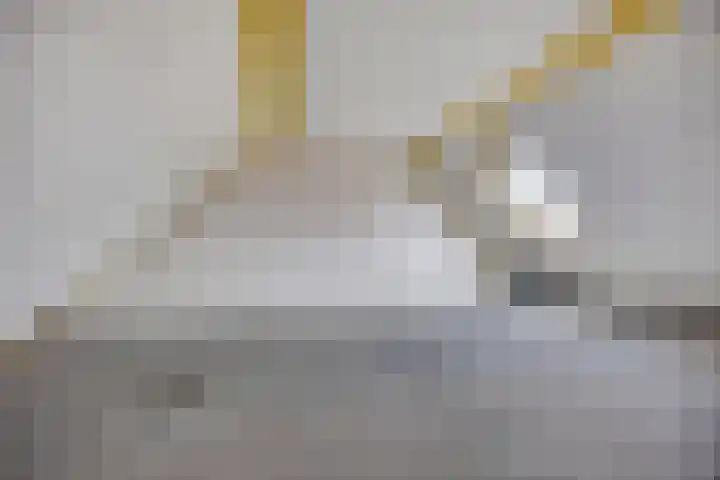 Libellendans 11 Capelle aan den IJssel thumbnail 18