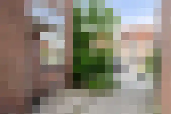 Libellendans 11 Capelle aan den IJssel thumbnail 24