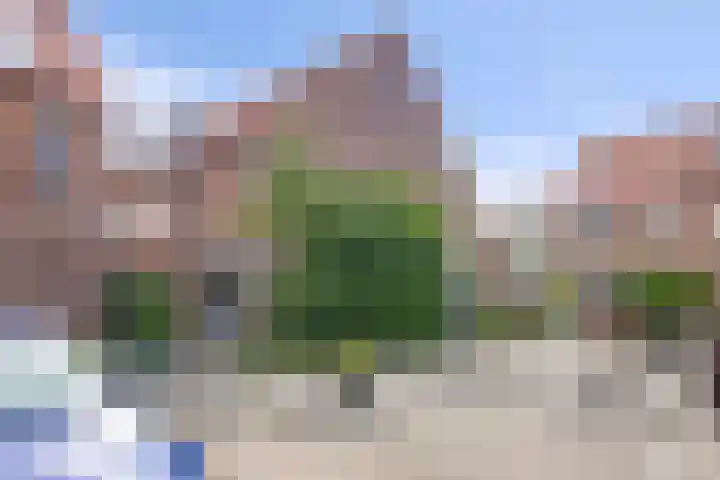 Libellendans 11 Capelle aan den IJssel thumbnail 30