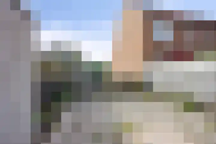 Libellendans 11 Capelle aan den IJssel thumbnail 5