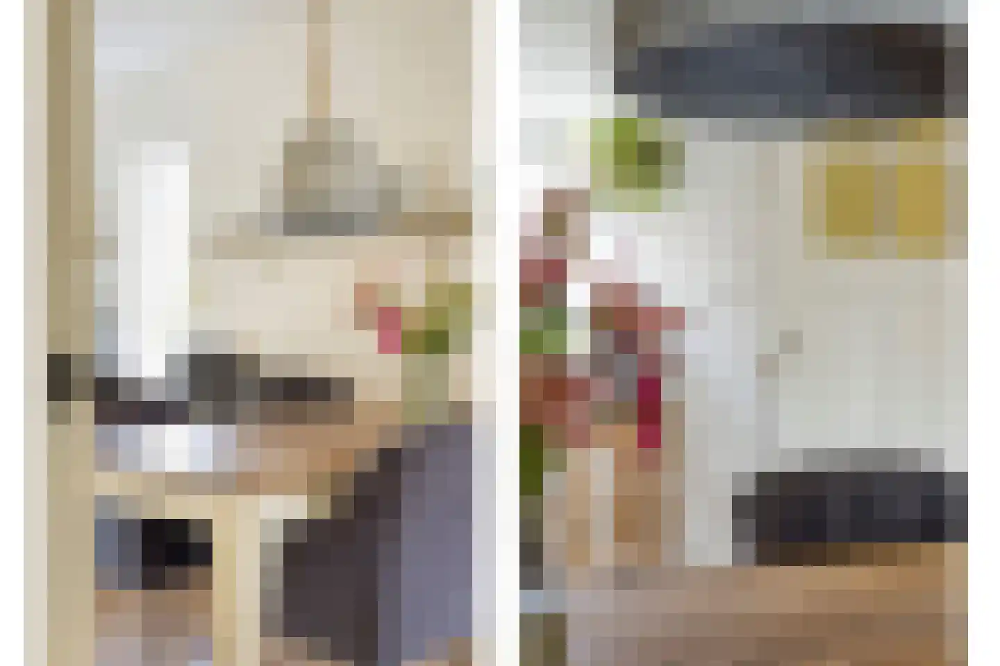 Libellendans 25 Capelle aan den IJssel thumbnail 11