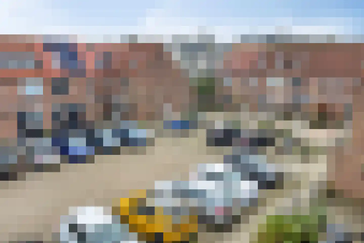 Libellendans 25 Capelle aan den IJssel thumbnail 32