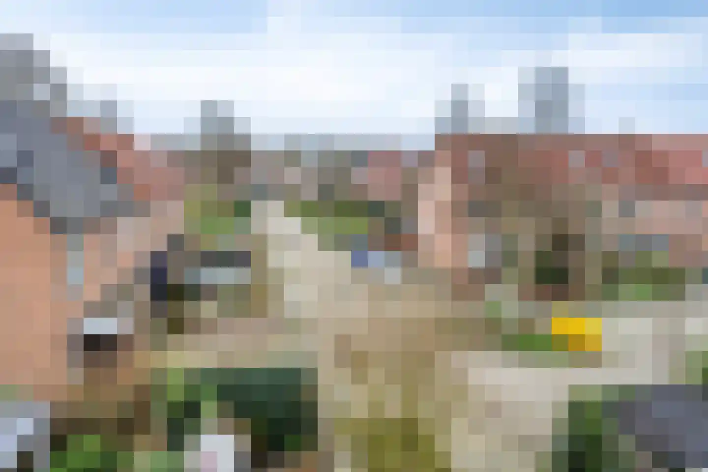 Libellendans 25 Capelle aan den IJssel thumbnail 33