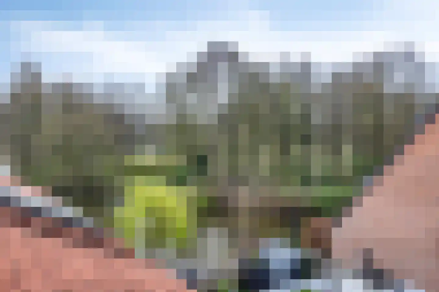 Libellendans 25 Capelle aan den IJssel thumbnail 36