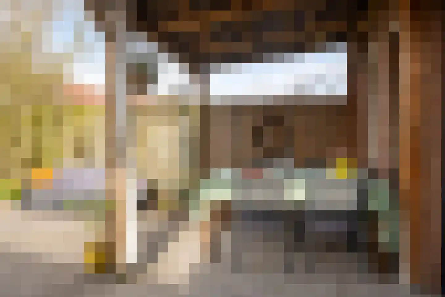 Libellendans 25 Capelle aan den IJssel thumbnail 38