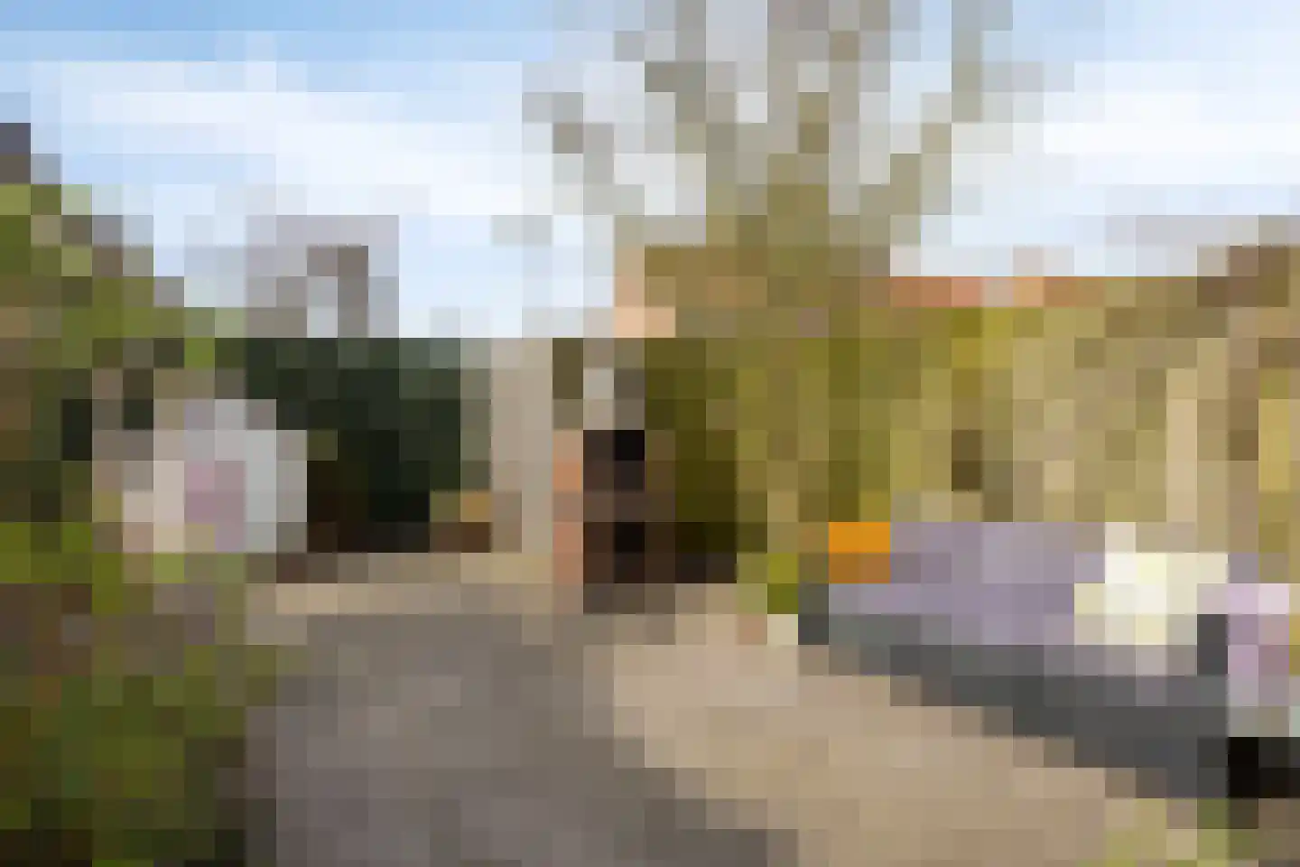 Libellendans 25 Capelle aan den IJssel thumbnail 40