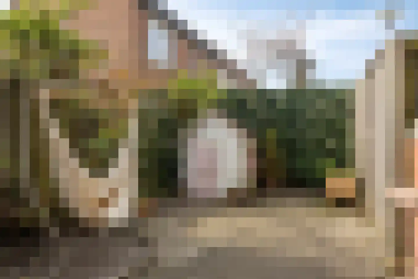 Libellendans 25 Capelle aan den IJssel thumbnail 42