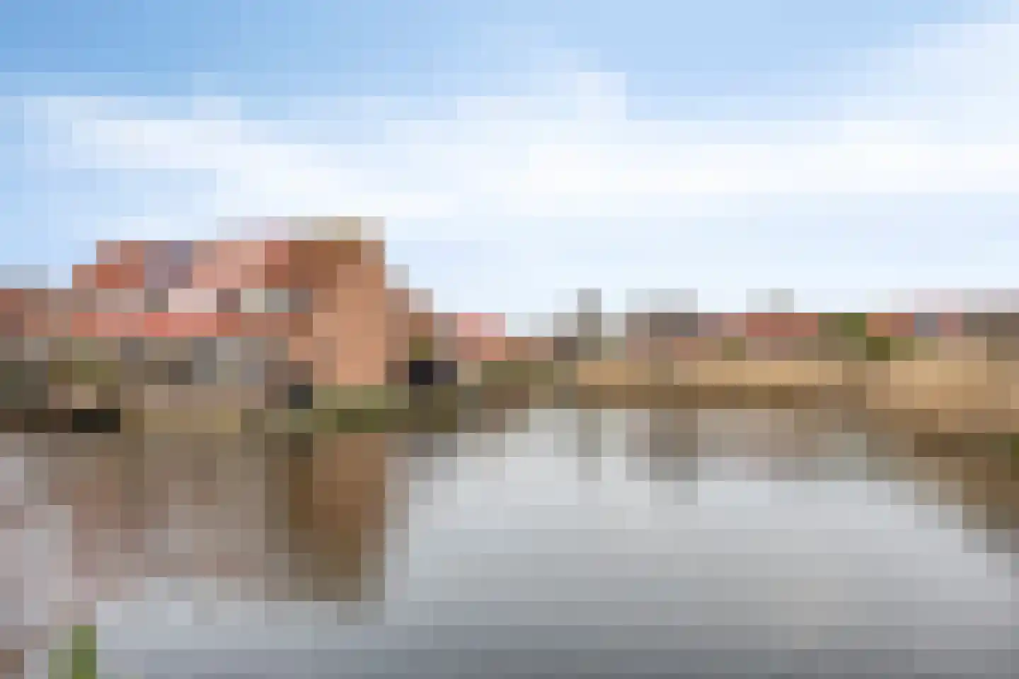 Libellendans 25 Capelle aan den IJssel thumbnail 50