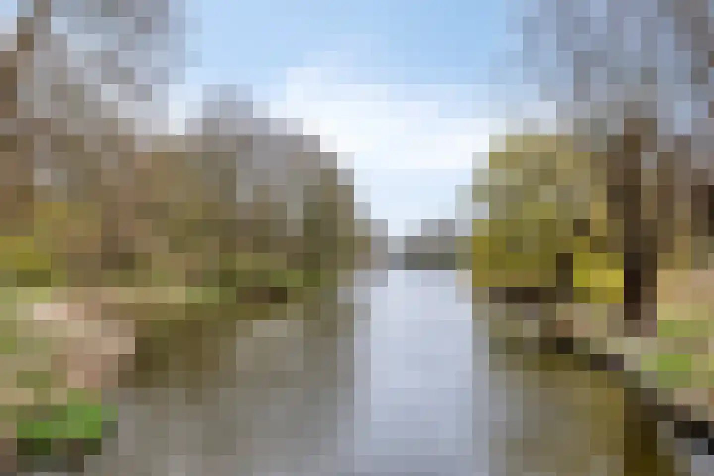 Libellendans 25 Capelle aan den IJssel thumbnail 52