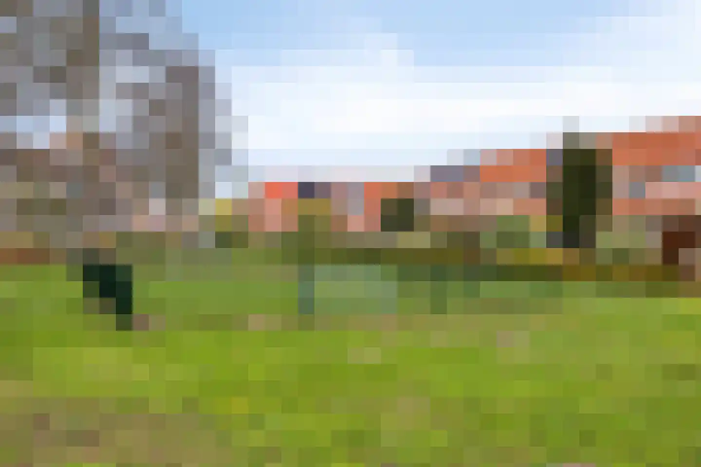 Libellendans 25 Capelle aan den IJssel thumbnail 53