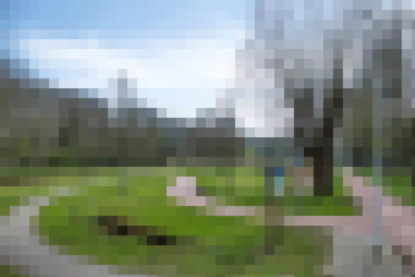 Libellendans 25 Capelle aan den IJssel thumbnail 55