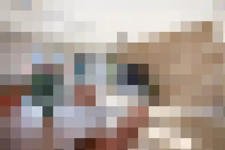 Libellendans 8 Capelle aan den IJssel thumbnail 15